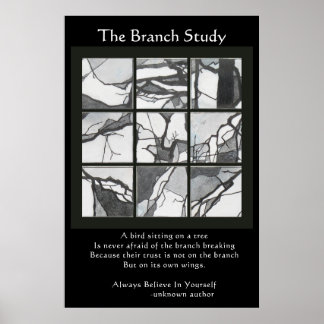 The Branch Study Poster