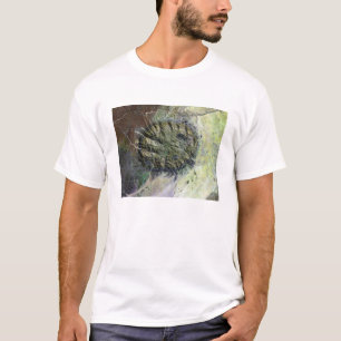The Brandberg Massif in Northen Namibia T-Shirt