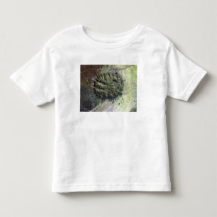 The Brandberg Massif in Northen Namibia Toddler T-Shirt