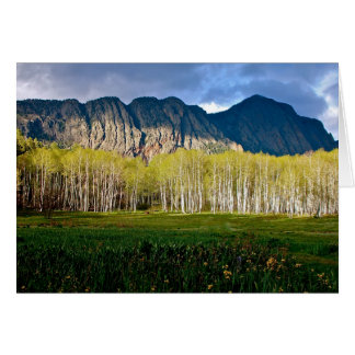 The Brazos in New Mexico