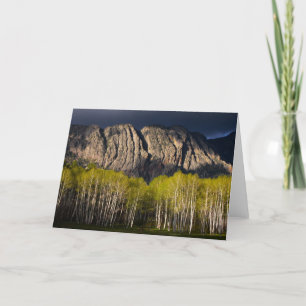 The Brazos in New Mexico Card