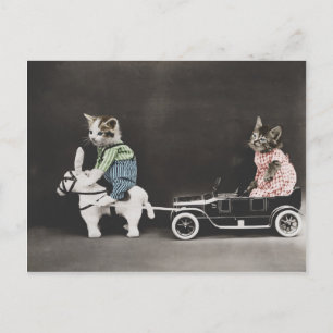 The Breakdown Kitty Postcard