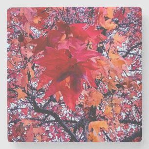 The bright autumn leaves stone coaster