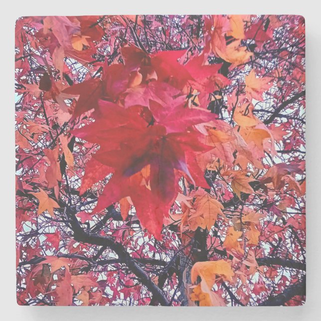 The bright autumn leaves stone coaster (Front)