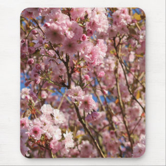 The bright Spring colour of cherry blossom Mouse Mat