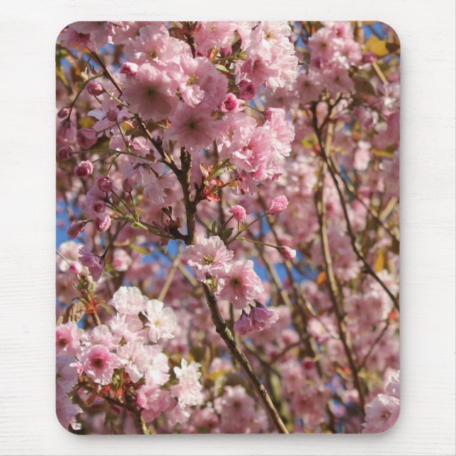 The bright Spring colour of cherry blossom Mouse Mat (Front)