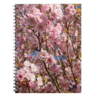 The bright Spring colour of cherry blossom Notebook