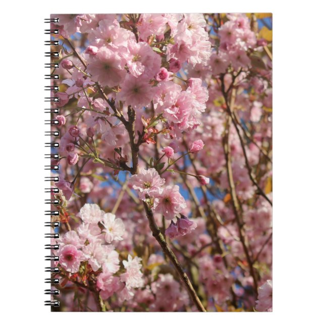 The bright Spring colour of cherry blossom Notebook (Front)