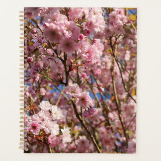 The bright Spring colour of cherry blossom Planner