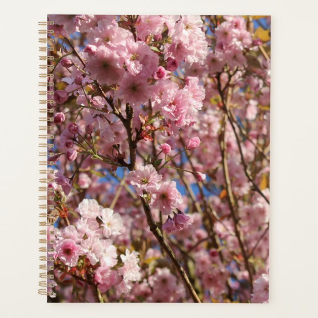 The bright Spring colour of cherry blossom Planner (Front)