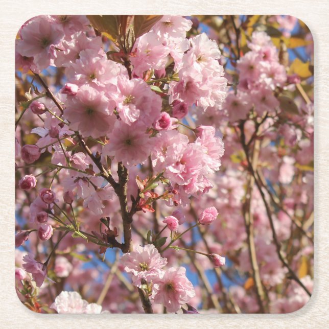 The bright Spring colour of cherry blossom Square Paper Coaster (Front)