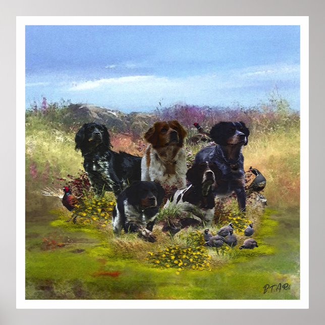 The Brittany Spaniels , Bird Hunting Season Poster (Front)