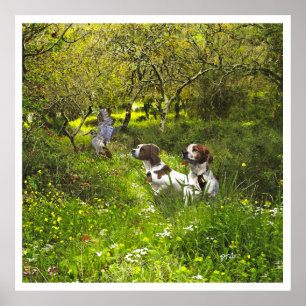 The Brittany Spaniels , Bird Hunting Season Poster