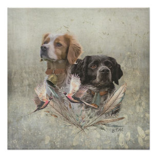 The Brittany Spaniels,  French Brittany, Bird dog, Poster
