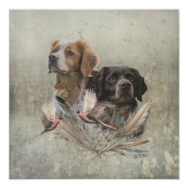 The Brittany Spaniels,  French Brittany, Bird dog, Poster (Front)