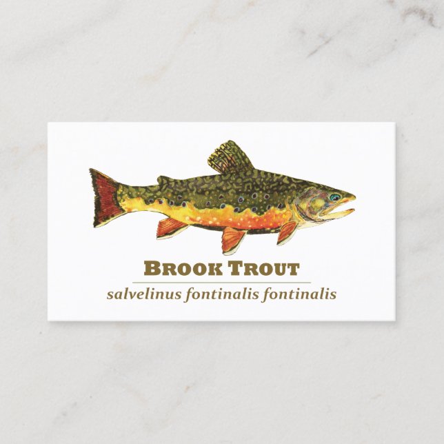 The Brook Trout Business Card (Front)