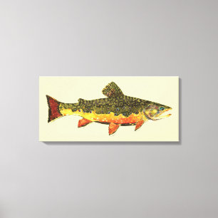 The Brook Trout Canvas Print
