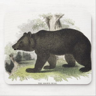 The Brown Bear, educational illustration pub. by t Mouse Mat
