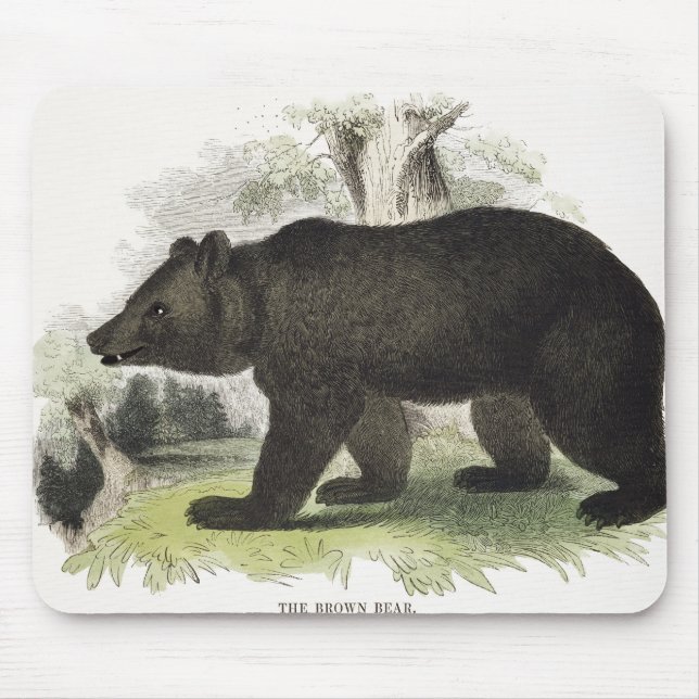 The Brown Bear, educational illustration pub. by t Mouse Mat (Front)