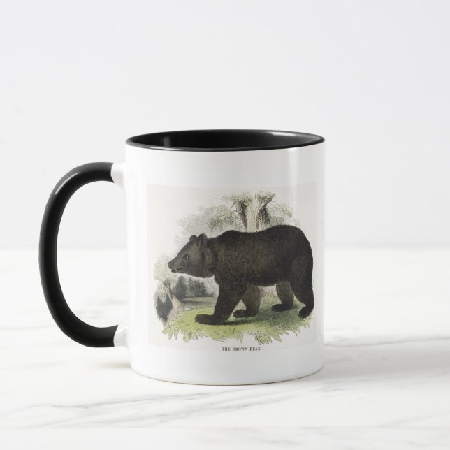 The Brown Bear, educational illustration pub. by t Mug (Left)