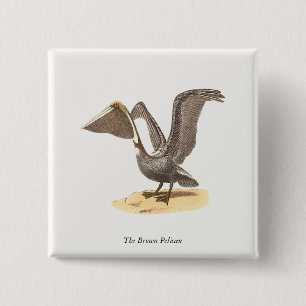 The Brown Pelican (Pelecanus occidentalis) NY Bird 15 Cm Square Badge