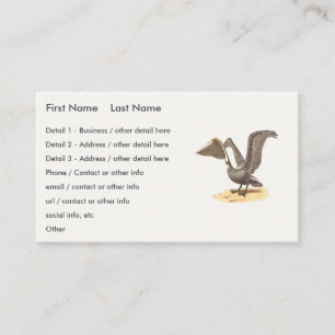 The Brown Pelican (Pelecanus occidentalis) NY Bird Business Card