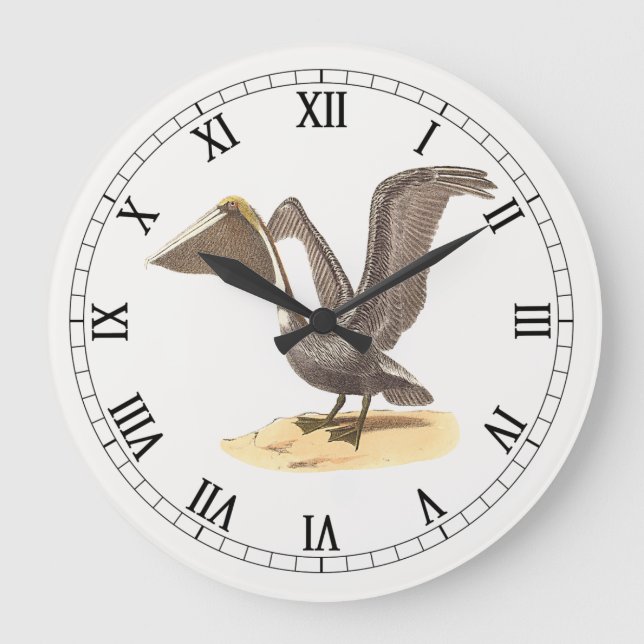 The Brown Pelican (Pelecanus occidentalis) NY Bird Large Clock (Front)