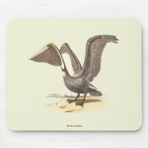 The Brown Pelican (Pelecanus occidentalis) NY Bird Mouse Mat