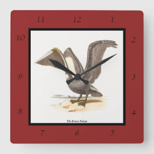The Brown Pelican (Pelecanus occidentalis) NY Bird Square Wall Clock