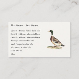 The Brown Thrush or Brown Thrasher, New York Birds Business Card