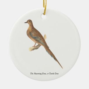 The Brown Thrush or Brown Thrasher, New York Birds Ceramic Tree Decoration