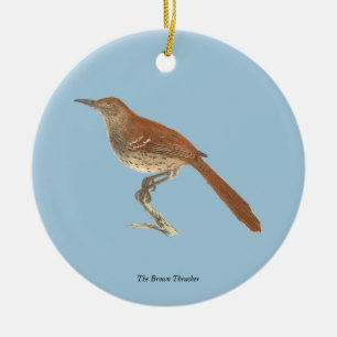 The Brown Thrush or Brown Thrasher, New York Birds Ceramic Tree Decoration