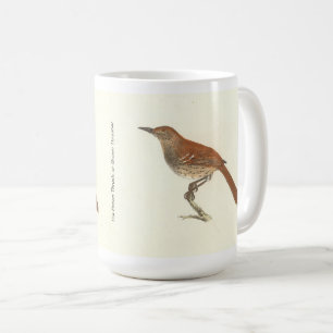 The Brown Thrush or Brown Thrasher, New York Birds Coffee Mug
