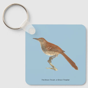 The Brown Thrush or Brown Thrasher, New York Birds Key Ring
