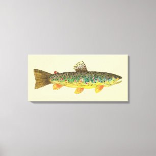 The Brown Trout Canvas Print