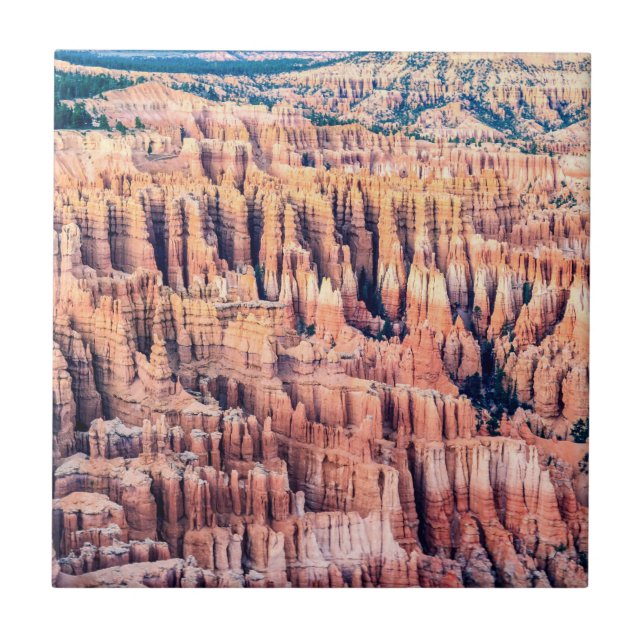 The Bryce Canyon National Park - Utah, USA Tile (Front)