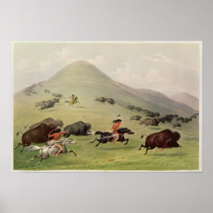 The Buffalo Hunt, c.1832 Poster