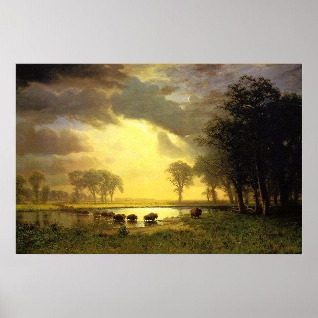 The Buffalo Trail Poster (Front)