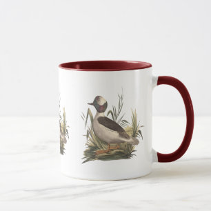 The Buffle-headed Duck (Fuligula albeola) Mug