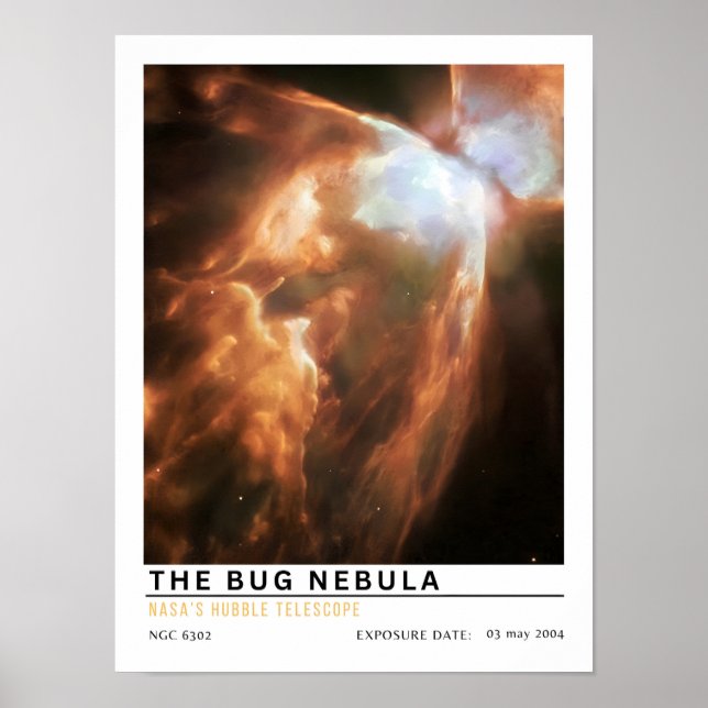 The Bug Nebula Space Education Poster (Front)
