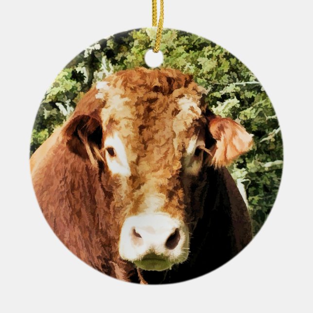 THE BULL CERAMIC TREE DECORATION (Front)