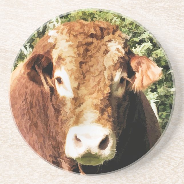 THE BULL COASTER (Front)