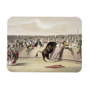 The Bull Leaping the Barriers, 1865 (colour litho) Magnet