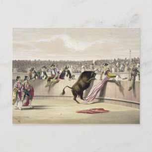 The Bull Leaping the Barriers, 1865 (colour litho) Postcard
