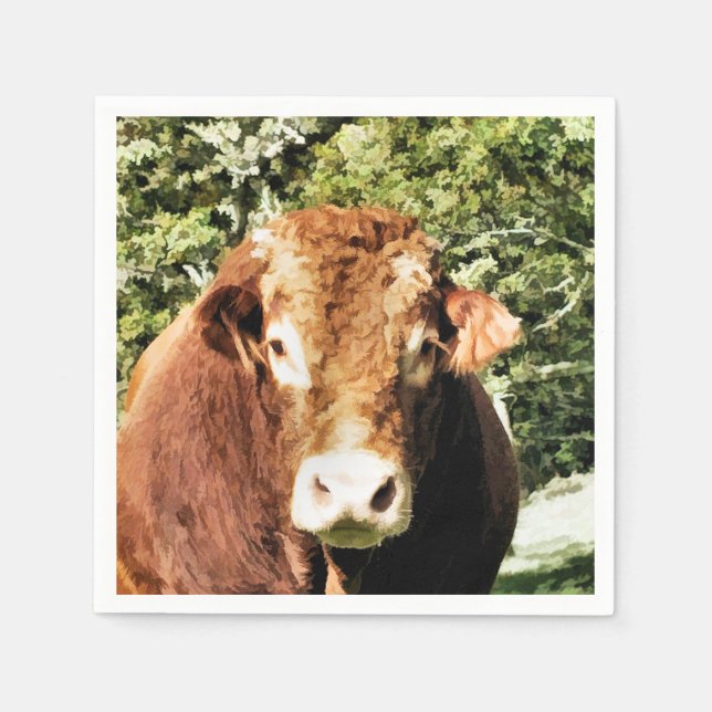 THE BULL NAPKIN (Front)