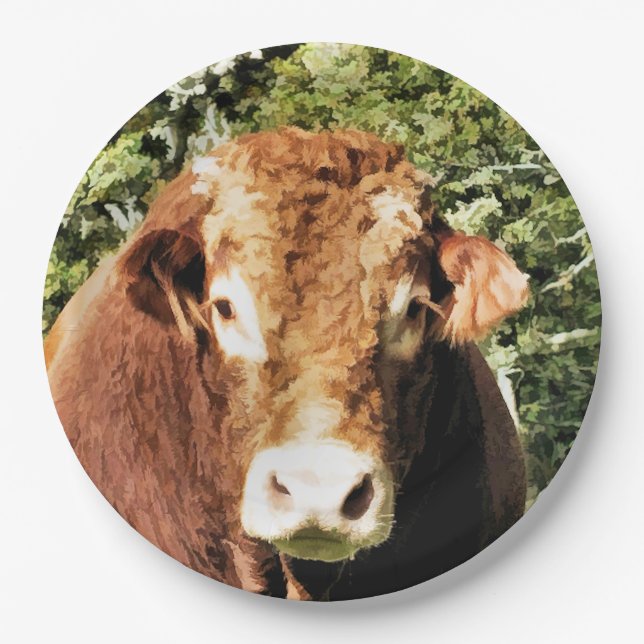 THE BULL PAPER PLATE (Front)