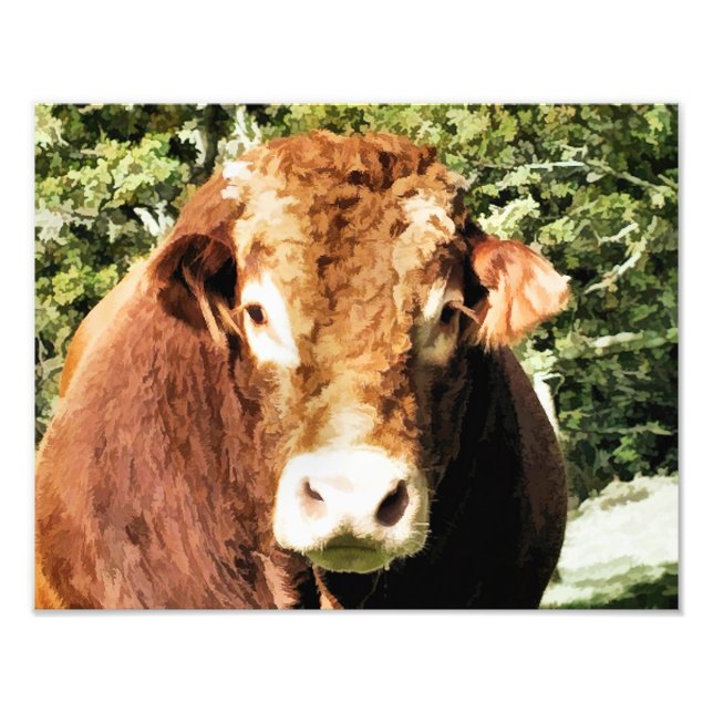 THE BULL PHOTO PRINT (Front)