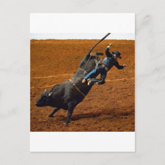 The Bull Rider Postcard