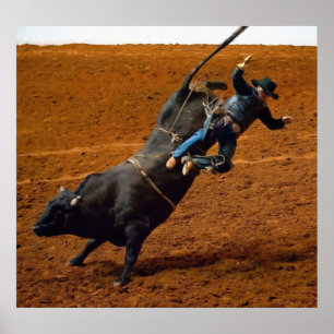 The Bull Rider Poster