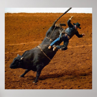 The Bull Rider Poster